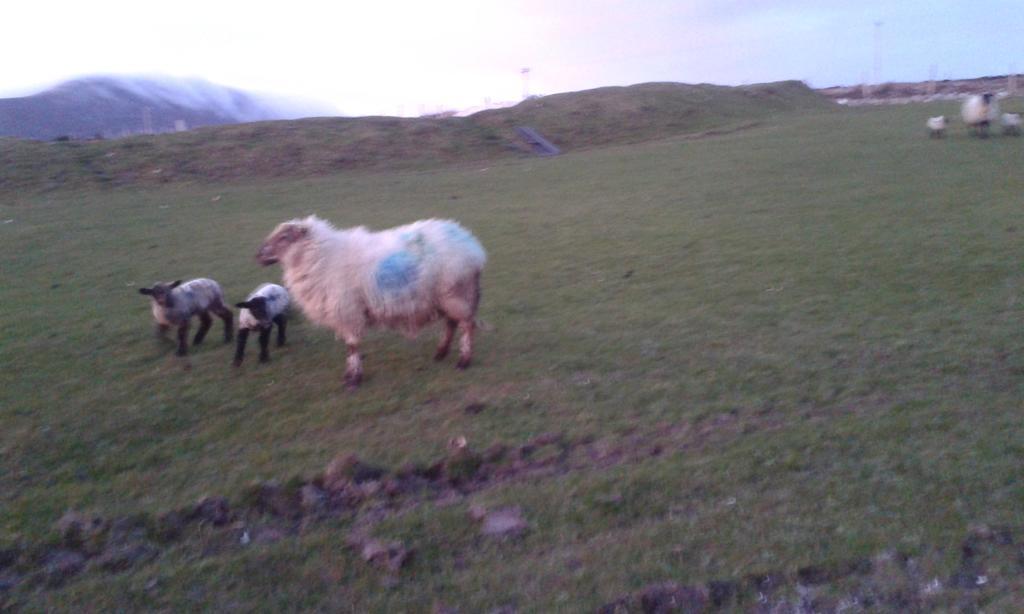Bed and Breakfast Achill West Coast House Dooagh Exteriér fotografie