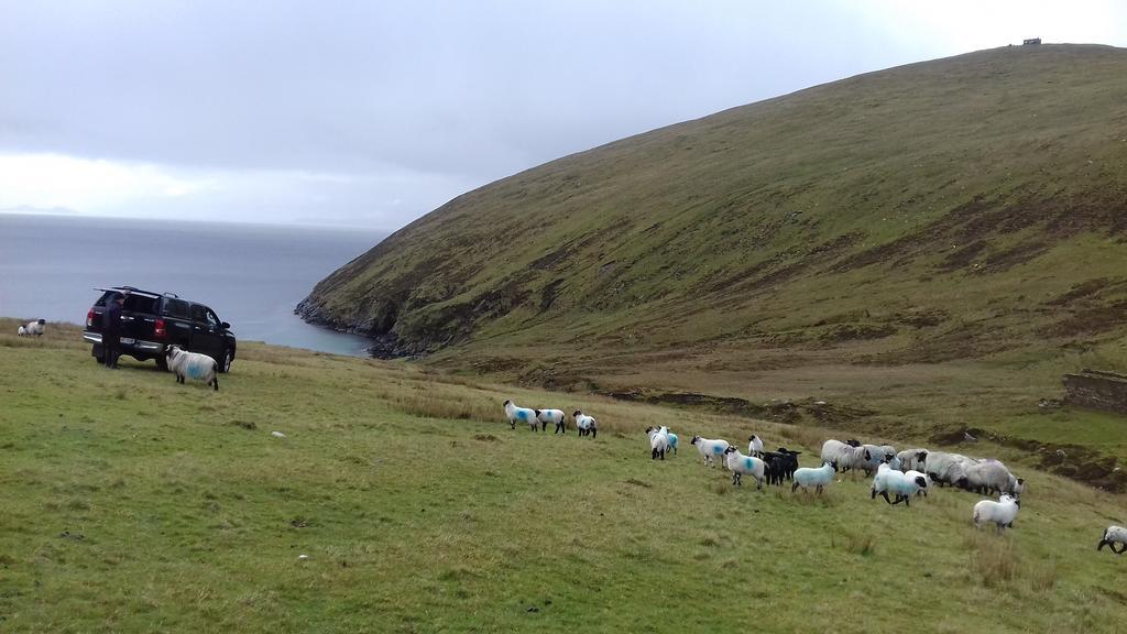 Bed and Breakfast Achill West Coast House Dooagh Exteriér fotografie