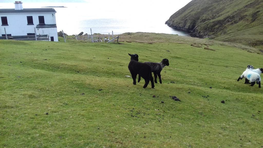Bed and Breakfast Achill West Coast House Dooagh Exteriér fotografie